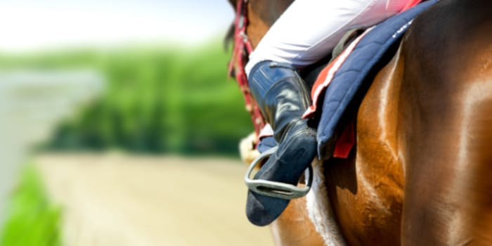 RMG และ Playtech Sports จะเสนอเดิมพันในเวลาที่เกิดขึ้นในงานเทศกาล Cheltenham